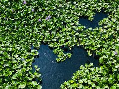 -重元寺香积厨素斋馆