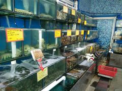 水产区-蚝专家(北滘店)