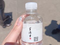 -灵隐飞来峰景区