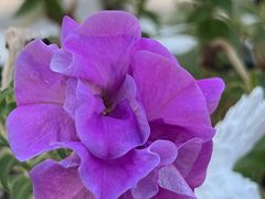 -安徽医科大学第一附属医院(绩溪路院区)