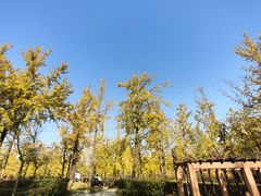 -黄兴公园