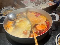 -滇牛云南火锅(桂林路店)