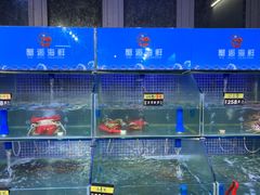 -蟹老板的海鲜