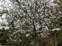 -南国桃园旅游度假区