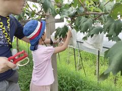 -美家乐农庄·露营·团建(大治路店)