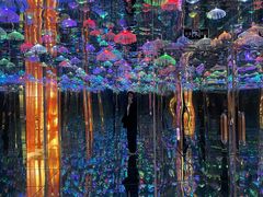 -成都梵高星空艺术馆(春熙路旗舰店)