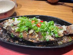 铁板鲫鱼-鸽子窝(黄村店)