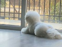 -沐沐家宠物(成寿寺店)