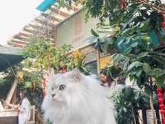 -豆舞咖啡(民乐路店)
