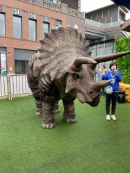 -恐龙探索乐园(磁器口店)