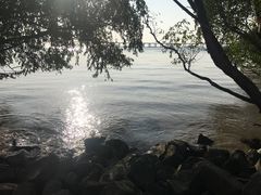 -宝安西湾红树林湿地公园