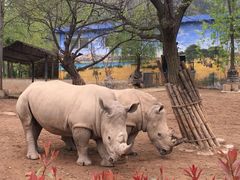 -西安秦岭野生动物园