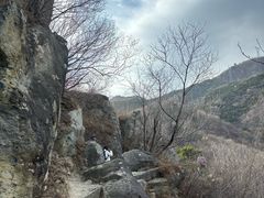 -北京鹫峰国家森林公园