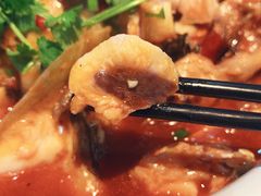 -魏铭鱼头捞饭(晋阳路店)