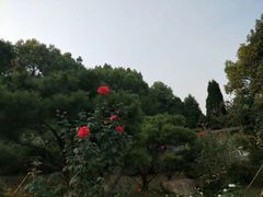 -东湖落雁景区