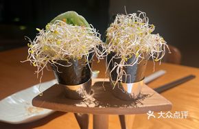 Alfalfa Sprout Fruit and Vegetable Hand Roll