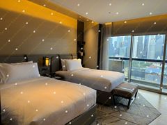 -新加坡瑞士史丹福酒店