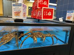 -盒马X会员店(王府井奥莱UP TOWN店)