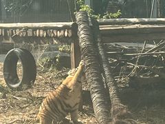 -昆明动物园