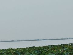 -七的湖·晚芳亭·阳澄湖农家菜·大闸蟹(莲花岛店)