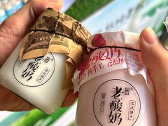 -莫愁村问君老酸奶