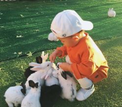 -萌宠亲子动物乐园(槐房万达店)