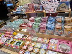 -猫的天空之城概念书店(丽江古城饮玉巷店)