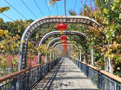 -金鸡山公园
