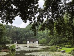 -杭州植物园