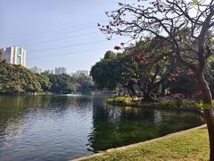 -晓港公园