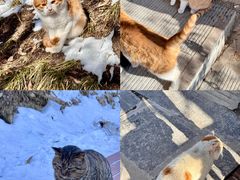 -终南山南五台景区