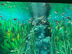 -上海海洋水族馆