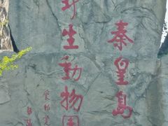 -秦皇岛野生动物园