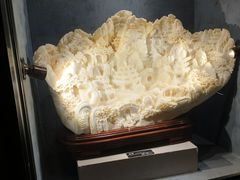 -河南自然博物馆