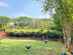 -西双版纳勐泐文化旅游区