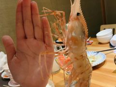 牡丹虾-割烹旭日本料理(龙湖狮山天街店)