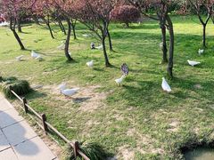 -扬州瘦西湖温泉