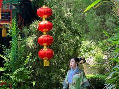 -白家大院·王府宫廷菜(苏州街店)