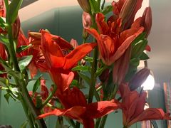 -南堂馆·新川菜(春熙路店)