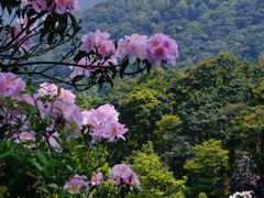 -梧桐山风景名胜区