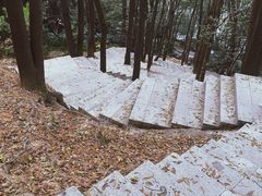 -火炉山森林公园