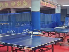 -大凤凰乒乓球馆
