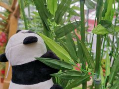 -东方华地城湿地温泉度假区