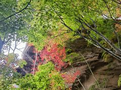 -崂山九水游览区