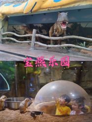 -宝燕乐园(闵行旗舰店)