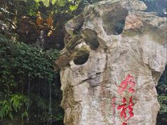 -杭州黄龙洞
