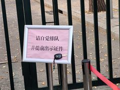 -三里屯东五街银杏大道