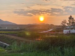 -光明小镇欢乐田园