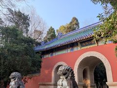 -灵谷景区