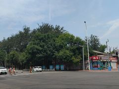 -桃花堤公园